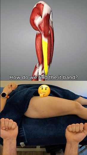How to find the IT Band 🦵 anatomy and palpation for therapists