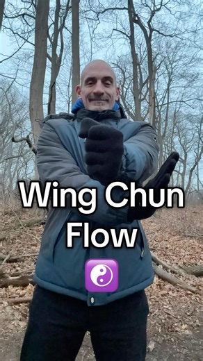 Wing Chun Kung Fu Flow #wingchun #technique #kungfu #youtubeshorts