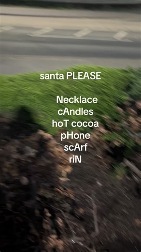 Santa's Christmas List & Wishlist Items