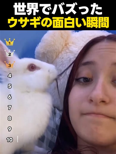 世界でバズった！可愛いウサギの瞬間TOP10