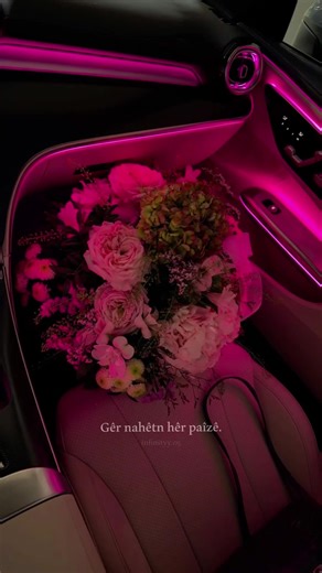 Karwan Kamil: Exploring TikTok Trends