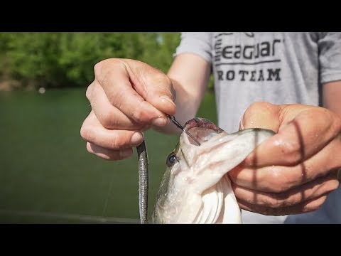 How to Rig the Z-Man Bang StickZ