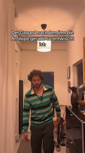 Cheetah's Dramatic Moment After Antelope Escape