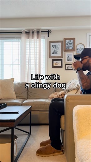 Luna The Mini Cockapoo on Instagram: "Literally everywhere 😳 #dogs #puppylove #minicockapoo"