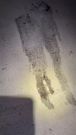 Sprinkle Oxiclean On Old Roof Grease And Leave It Till The Next Service