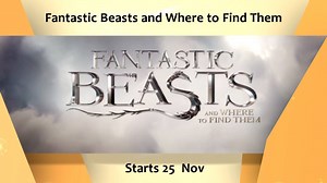 1.4K views · 88 reactions | The magic is BACK! See the enchanting...