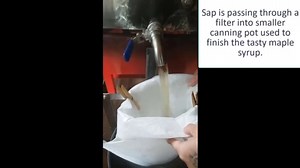 Maple Sap Boiling Process Explained