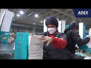 EL EXPORTADOR DE LA SEMANA: Industrias del Envase