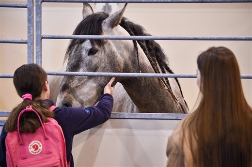 Equitana in Essen: Kurz vor dem Ende passiert es – Veranstalter muss reagieren