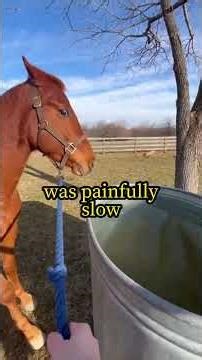 He Was Empty For 18 Months Then He Became Her Teacher