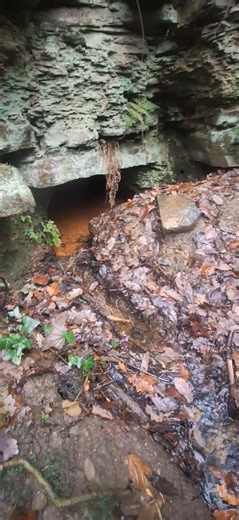 7.5K views · 104 reactions | Old drainage adit to an old coal mine.. the mine has now gone and been levelled with the drainage adit being left for dranage purposes and the only thing left. We wont be exploring this but its definitely worth being documented #yorkshiremineexplorer | Adit Addicts | Facebook