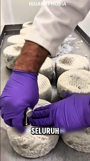 Blue cheese making process