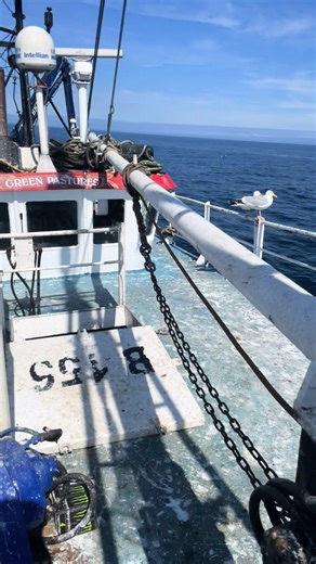 Exploring the Irish Sea: A Fishing Adventure