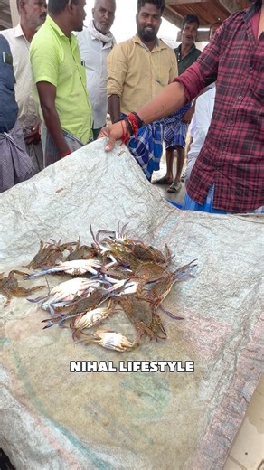 Very fast fish auction 😳😳 || just 10 seconds 🔥 #reels #seafishing #fishauction