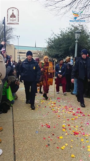 🌸 A Path of Flowers to the State Capitol - Day 91 - 1/24/2026 This beautiful video shows the venerable monks walking on a path of flower petals leading to the North Carolina State Capitol on Day 91. This stunning path was created by Raleigh Downtown and their volunteers who donated and lovingly laid the flower petals for us to walk upon. What an extraordinary gesture of honor, beauty, and welcome. To walk on a carpet of flowers—such a sacred and ancient way of honoring the venerable monks—touch