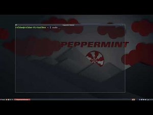 Instalar un programa por consola de Linux
