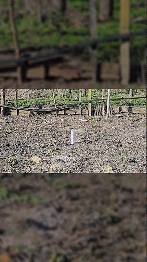 Test Semtex 15G watch now