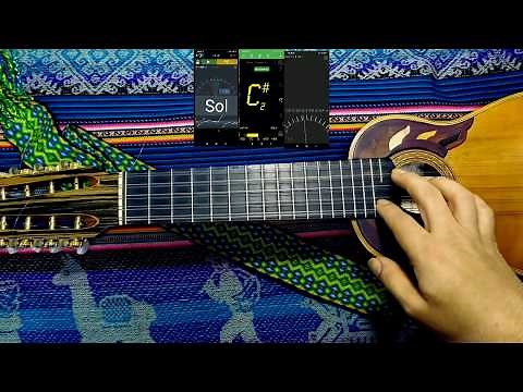 ORGANOLOGÍA DEL CHARANGO Y SU AFINACIÓN (Cómo afinar un charango)