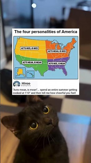 The four types of people you’ll find in America