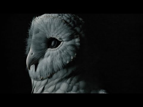 Deftones – This Place Is Death (Official Visualizer)