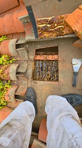 Today I tackled a huge bee removal in Beverly Hills, CA! 🐝 This hive was massive—close to 200 pounds of honey and brood tucked into one of the most impractical spots I’ve seen, surrounded by conduit and pipes. The bees were aggressive, and I even got stung right through my suit. Despite the challenge, I safely secured the colony for relocation. I’ll be back in 10 days to finish the roof section. Always happy to help save the bees here in Southern California! 🌴🍯 #BeeRemoval #BeverlyHillsBees #