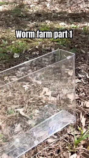 Worm farm part 1 #wormfarm #nature #garden