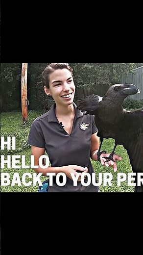 This Crow Can Talk Like a Human!