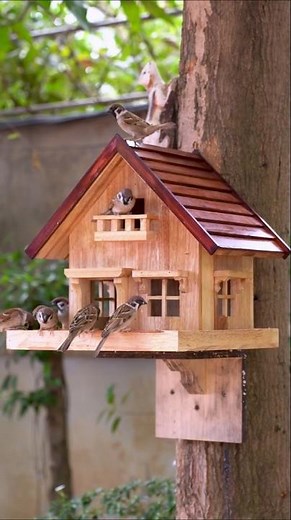 CREATE Your Own Rustic Wooden Bird Feeder Easily #diy #crafts #birdlovers #shorts