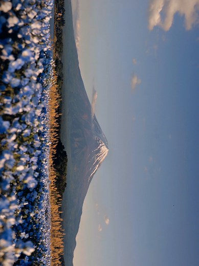 Pure peace at Mt Fuji: tranquil views of Japan