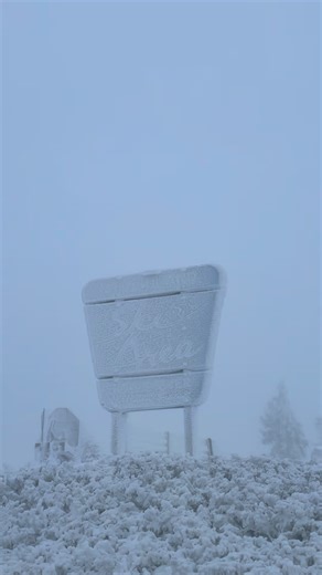 Now that’s more like it!!!❄️ Mother Earth brought the snow and we’re bringing you…AN OPENING DATE! This Monday, December 29th, we are opening with limited terrain! Despite sitting at 70% below the average season’s snowfall, the Mt. Ashland team is getting creative with getting terrain open and our skiers and riders on the slopes! All Lift Tickets will be $18 and for a limited time include both Sonnet and Lithia Chairlifts in addition to First Act Learning Carpet. Here is the terrain rundown: ❄️ 