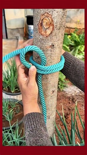 Locking knots are super practical for fixed-point anchoring, construction work, and emergencyescapes