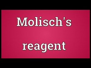 Molisch's reagent Meaning