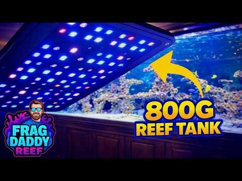 My 800 Gallon Reef Tank | Dialing In ATI Straton Pros