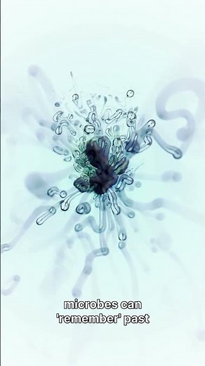 Microbial Drought Memory 🦠🌵 | How Tiny Life Remembers Water Stress