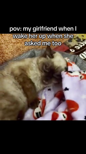 Hilarious Relationship Memes