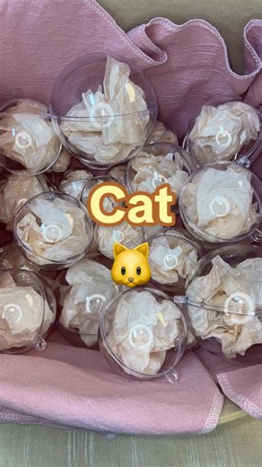 Adorable Cat Accessories for Your Feline Friends