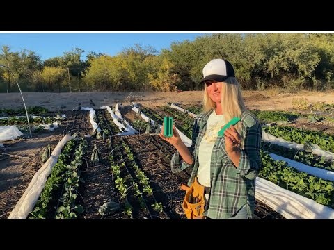 We've Been Experimenting with "Magnetic Water" using PlantsurgeUSA on our New Market Garden!