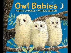 Owl Babies Read Aloud Bedtime Story About Missing & Waiting For Mommy to Come Home & Family Love