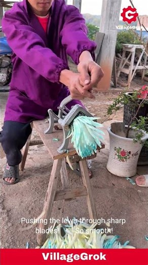 Vegetable Slicing: Using a French Fry Cutter for Quick Preparation