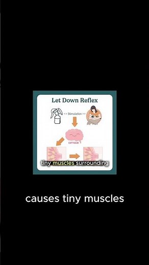 How Oxytocin Makes Milk Flow the Second Baby Starts Suckling #LetDownReflex #Pregnancy