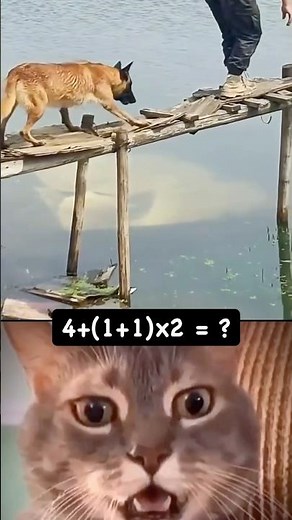 Crazy animal fails of the day 😂🐶 #funny