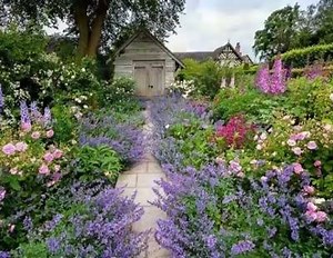 BackyardGardener.com - Your Backyard Gardening Source on Reels