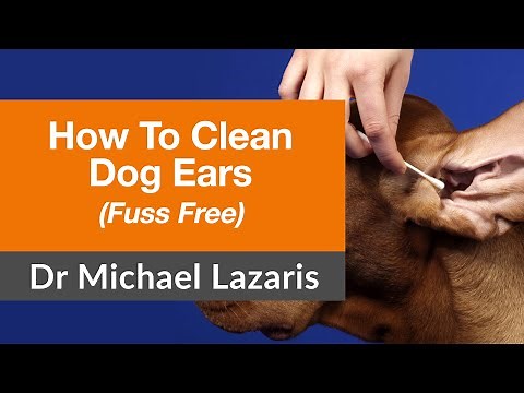 Vet Shares 1 Simple Way To Clean Your Dogs Ears