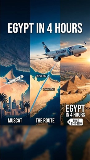 2,756 km Flight Path Animation #flightpath #egyptair #travelvideo