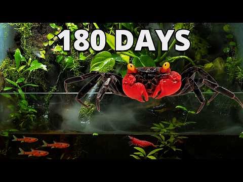 I Built a Rainforest Ecosystem. 180 Days Later THIS Happened!