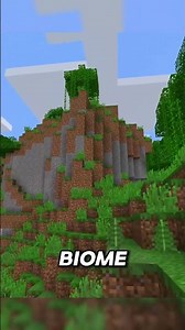 Minecraft Rarest Biome