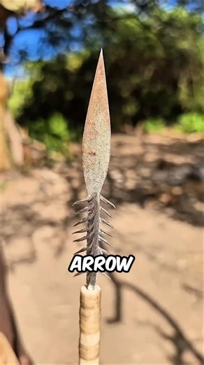 How Matis tribe hunters make their weapons #facts #animalfacts #wildlife