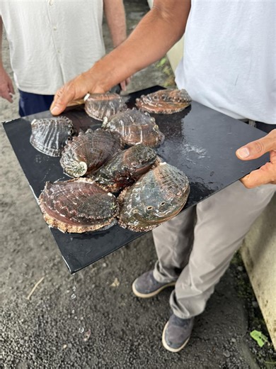 Big Island Hawaii Things to Do | I just did the Abalone farm tour | Facebook