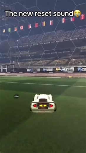 Exploring Fennec Fox Traits and Trying Dominus