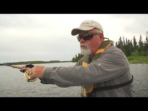 Ontario Moose Hunts with 7 Lakes Wilderness Camps in Canada